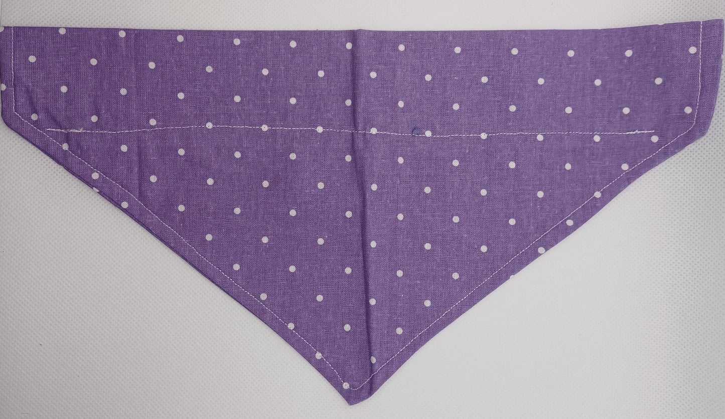 Spotty Bandana