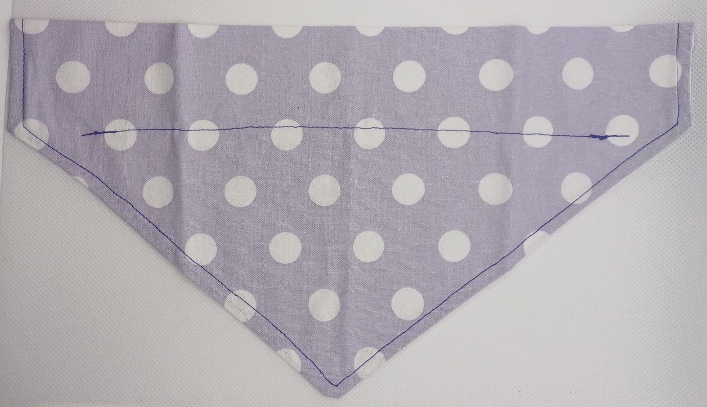 Spotted Bandana