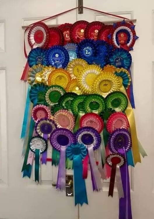 Unpersonalised Handmade Rosette Hanger