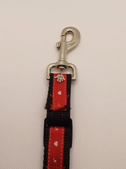 Dog Seat Belt
