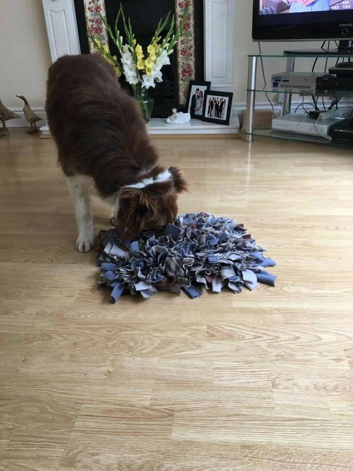 Snuffle Play Mat - Various colours