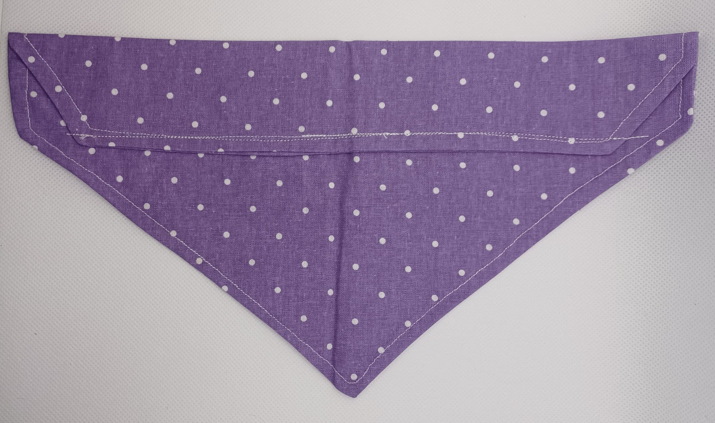 Spotty Bandana