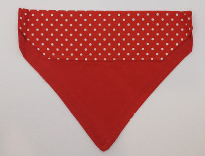 Small Spotted Bandana